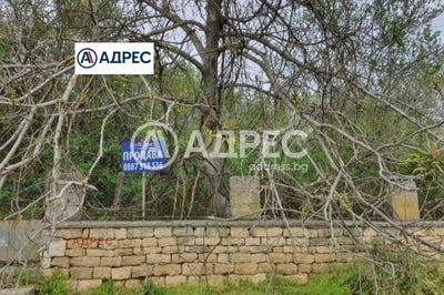 /international/bg/с-кочмар-s-kochmar-добрич-dobrich-province-310108367305/