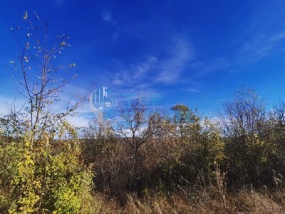 /international/bg/с-водно-s-vodno-велико-търново-veliko-tarnovo-province-310098508801/