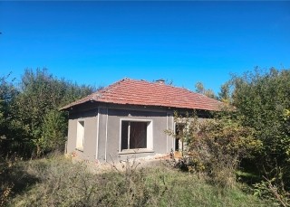 /international/bg/vratsa-montana-310103714123/