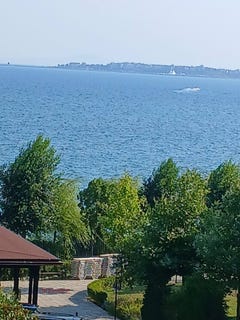 /international/bg/гр-свети-влас-gr-sveti-vlas-бургас-burgas-310100990555/