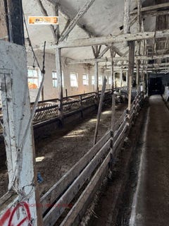 /international/bg/с-нефела-s-nefela-враца-vraca-310107676354/