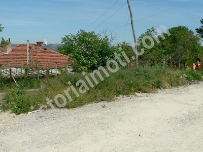 /international/bg/зона-б-zona-b-велико-търново-veliko-tarnovo-province-120063369322/