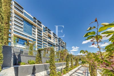 /international/bg/оборище-oborishte-софия-sofia-city-province-310108563747/
