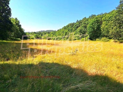/international/bg/с-хъневци-s-hanevci-велико-търново-veliko-tarnovo-province-310100600877/