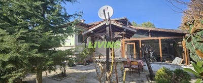/international/bg/с-златовръх-s-zlatovrah-пловдив-plovdiv-province-310095275577/