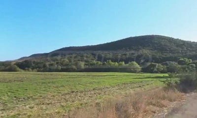 /international/bg/с-медово-s-medovo-бургас-burgas-310108368431/