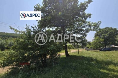 /international/bg/с-юнец-s-iunec-варна-varna-310106042535/