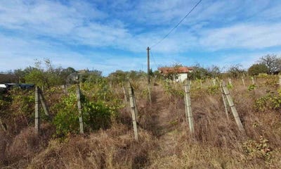 /international/bg/банево-banevo-бургас-burgas-310100491461/