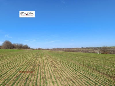 /international/bg/с-рогачево-s-rogachevo-добрич-dobrich-province-310101104843/