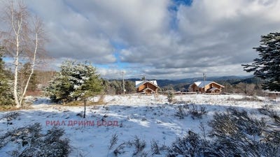 /international/bg/к-к-пампорово-k-k-pamporovo-смолян-smoljan-310099611032/