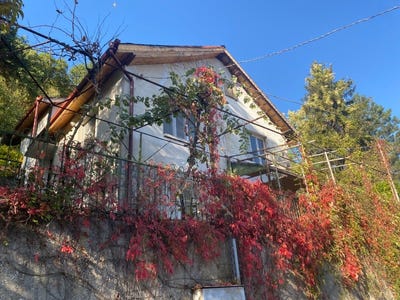 /international/bg/гр-брацигово-gr-bracigovo-пазарджик-pazardzhik-310108086027/