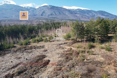 /international/bg/гр-разлог-предела-gr-razlog-predela-благоевград-blagoevgrad-province-310096777002/