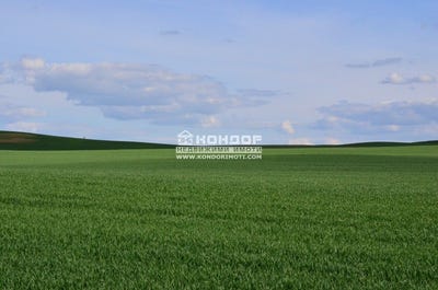 /international/bg/беломорски-belomorski-пловдив-plovdiv-province-310094658020/?lang=zh-cn