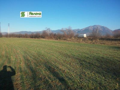 /international/bg/с-тулово-куция-шаран-s-tulovo-kucia-sharan-стара-загора-stara-zagora-310094510508/?lang=en