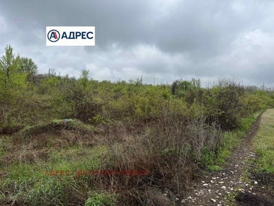 /international/bg/9-ти-квартал-9-ti-kvartal-плевен-pleven-province-310103176730/