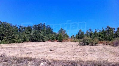 /international/bg/с-боженците-s-bojencite-габрово-gabrovo-120074814501/