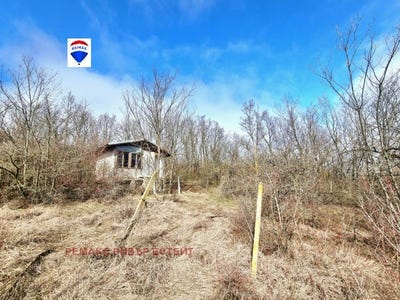 /international/bg/с-николово-местност-дрибак-s-nikolovo-mestnost-dribak-русе-ruse-310106516907/