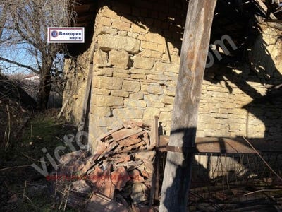 /international/bg/с-ново-село-s-novo-selo-велико-търново-vidin-310098511798/