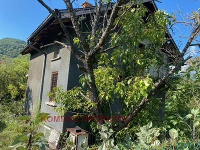 /international/bg/с-батулия-s-batulia-софия-sofia-city-province-310099356383/