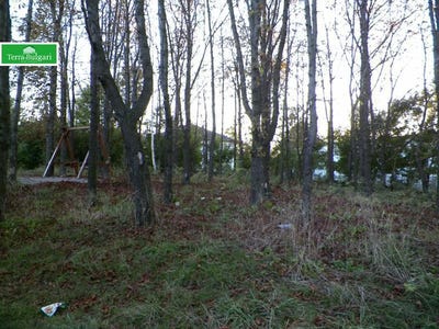 /international/bg/изток-iztok-перник-pernik-310095200865/