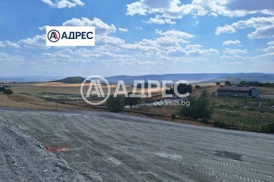 /international/bg/с-кипра-s-kipra-варна-varna-310101156227/
