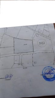 /international/bg/с-петлино-s-petlino-кърджали-kardzhali-province-310097304665/