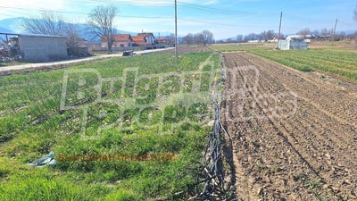 /international/bg/с-братаница-s-bratanica-пазарджик-pazardzhik-310106516447/