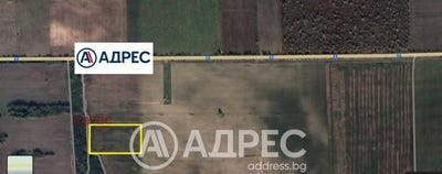 /international/bg/с-слънчево-s-slanchevo-варна-varna-120093710717/