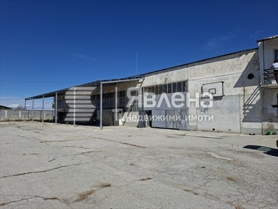 /international/bg/с-добровница-s-dobrovnica-пазарджик-pazardzhik-310108367710/