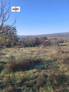 /international/bg/с-здравец-s-zdravec-варна-varna-310103636158/