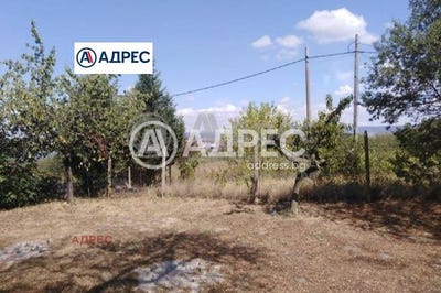 /international/bg/с-константиново-s-konstantinovo-варна-varna-310108370094/