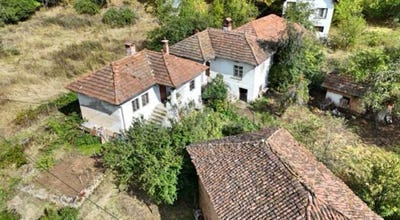 /international/bg/с-ново-село-s-novo-selo-софия-vidin-310106510321/