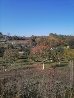 /international/bg/църква-carkva-перник-pernik-310108154366/