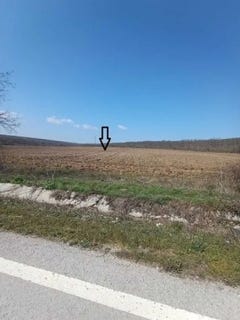 /international/bg/varna-varna-310108271112/