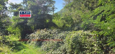 /international/bg/с-гложене-s-glojene-ловеч-lovech-120083503587/