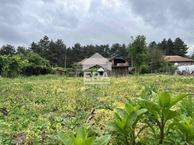 /international/bg/с-старо-село-s-staro-selo-силистра-silistra-310108081587/
