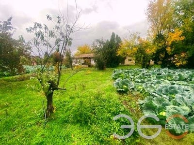 /international/bg/с-царевци-s-carevci-варна-varna-310108558449/