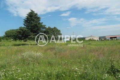/international/bg/с-болярци-s-boliarci-варна-varna-310108082213/