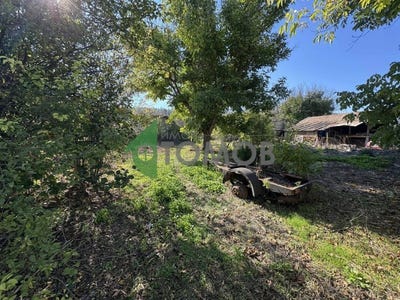 /international/bg/с-острец-s-ostrec-търговище-targovishte-province-310103095637/
