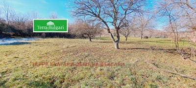 /international/bg/църква-carkva-перник-pernik-310095278353/