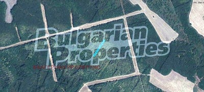 /international/bg/с-трънково-s-trankovo-стара-загора-stara-zagora-310107675877/