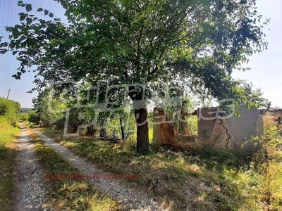 /international/bg/с-кавлак-s-kavlak-велико-търново-veliko-tarnovo-province-120087609660/