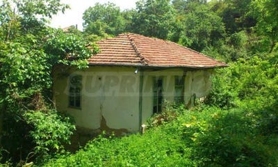 /international/bg/с-куманите-s-kumanite-габрово-gabrovo-310103041044/