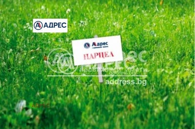 /international/bg/гр-игнатиево-gr-ignatievo-варна-varna-310104565397/