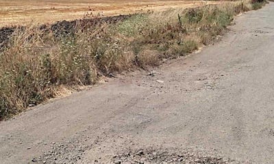 /international/bg/к-к-слънчев-бряг-k-k-slanchev-briag-бургас-burgas-310101734173/