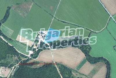 /international/bg/с-медово-s-medovo-бургас-burgas-310108372740/