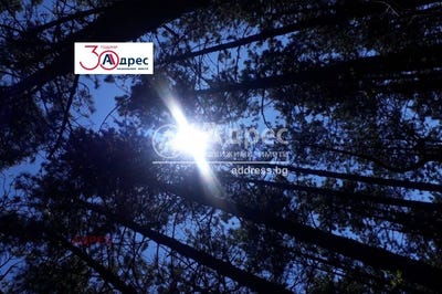 /international/bg/м-т-акчелар-m-t-akchelar-варна-varna-120089650046/