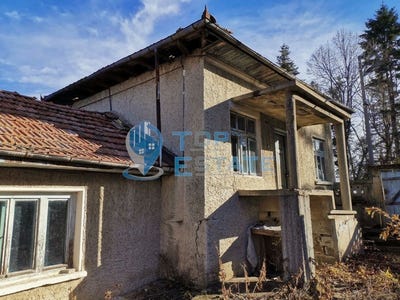 /international/bg/с-кавлак-s-kavlak-велико-търново-veliko-tarnovo-province-310098508791/
