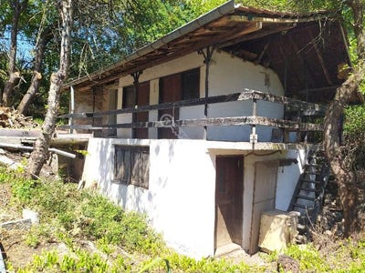/international/bg/м-т-козлуджа-m-t-kozludja-велико-търново-veliko-tarnovo-province-310098509318/