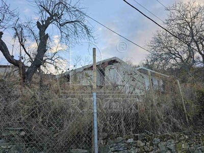 /international/bg/с-извор-s-izvor-пловдив-plovdiv-province-310099654358/